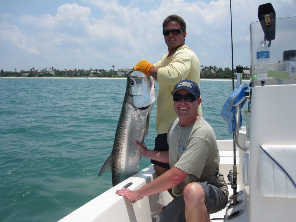 Record Day of Naples Tarpon