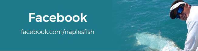 facebook.com/naplesfish